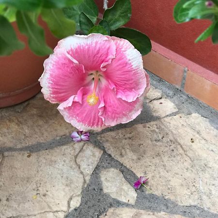 Hotel Buena Vista Copán 외부 사진