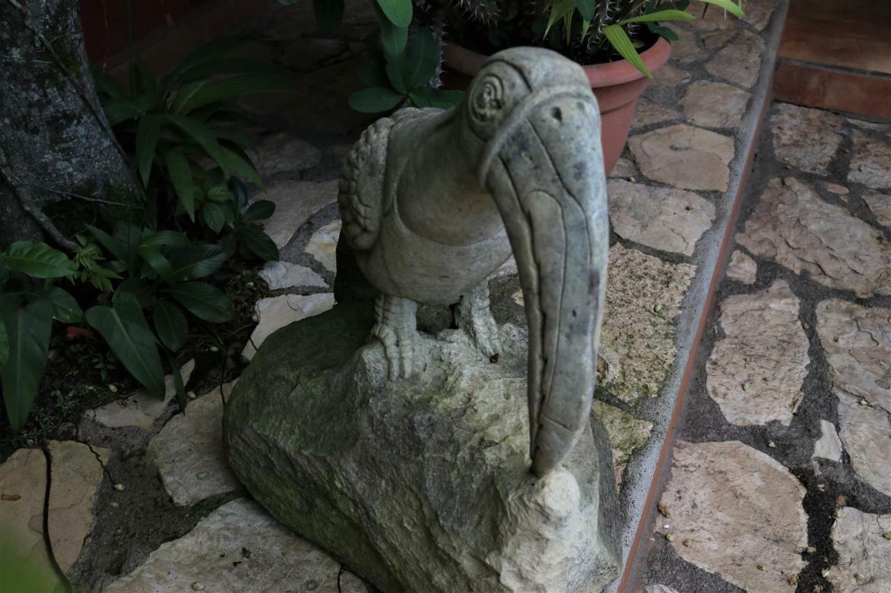 Hotel Buena Vista Copán 외부 사진